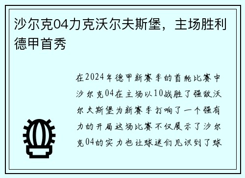 沙尔克04力克沃尔夫斯堡，主场胜利德甲首秀